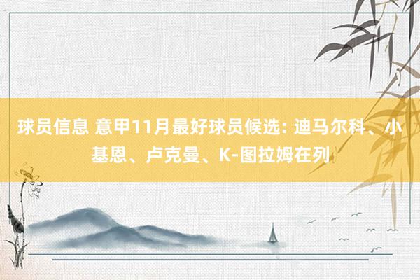 球员信息 意甲11月最好球员候选: 迪马尔科、小基恩、卢克曼、K-图拉姆在列