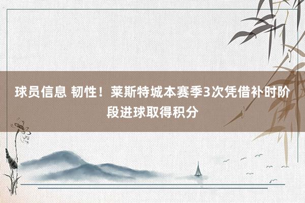 球员信息 韧性！莱斯特城本赛季3次凭借补时阶段进球取得积分