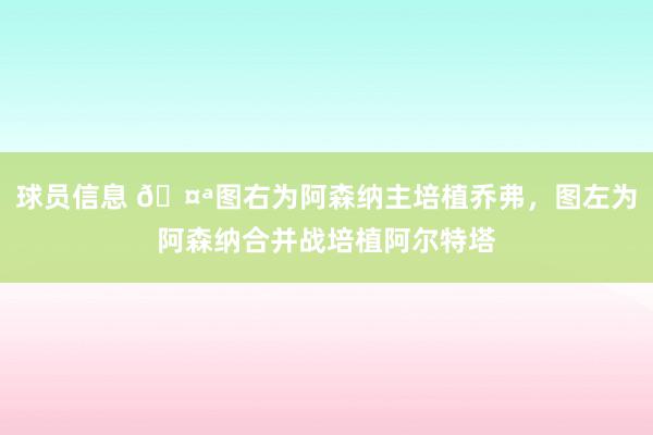 球员信息 🤪图右为阿森纳主培植乔弗，图左为阿森纳合并战培植阿尔特塔